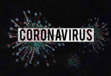 What You Must Know About CoronaVirus: It’s Precautions, Symptoms, and Vaccine! coronavirus-covid-19 information