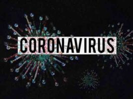 coronavirus-covid-19 information