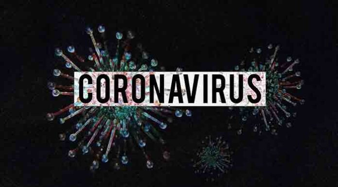 What You Must Know About CoronaVirus: It’s Precautions, Symptoms, and Vaccine! coronavirus-covid-19 information