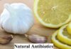 5 Effective Natural Antibiotics that will Surprise You Natural Antibiotics