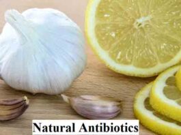 Natural Antibiotics