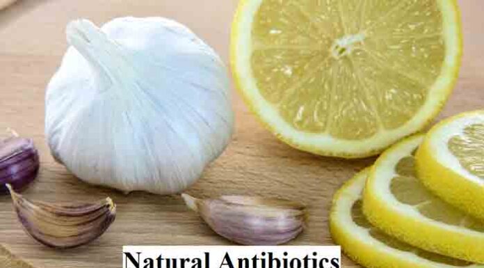 5 Effective Natural Antibiotics that will Surprise You Natural Antibiotics