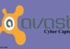 An All-Inclusive Avast CyberCapture Summary avast cybercapture