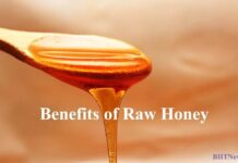 5 Surprising Benefits of Raw Honey benefits of raw honey