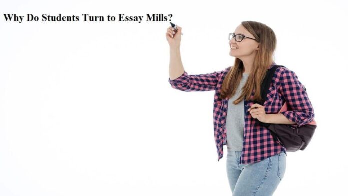 students turn to essay mills