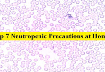 Top 7 Neutropenic Precautions at Home | Review Neutropenic Precautions review