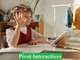 Pivot Interactives review