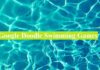 Google Doodle Games Swimming Google Doodle Games Swimming