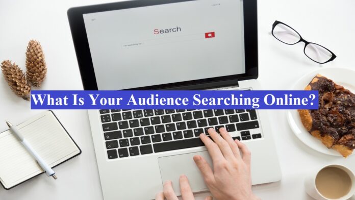 Audience Searching Online