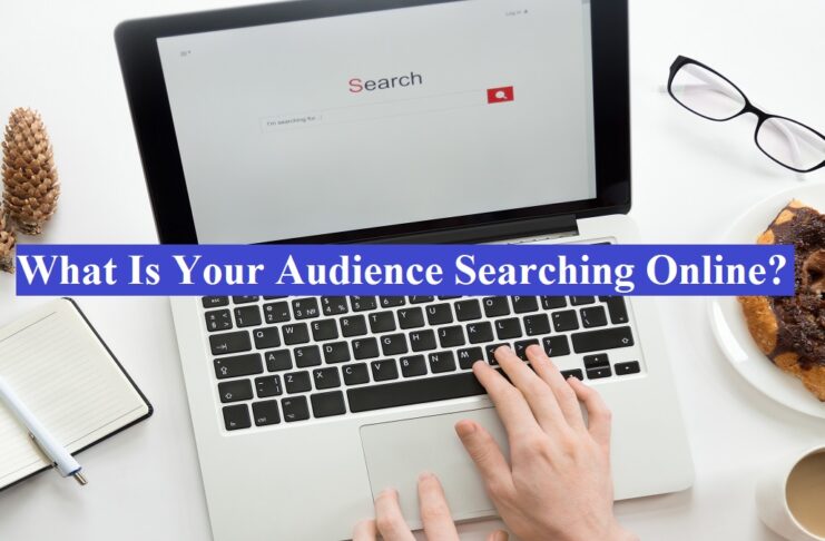 Audience Searching Online