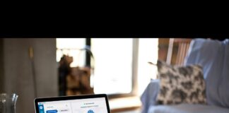 OysterVPN: Setting Sights on the Online Privacy Top Spot oysterVPN review