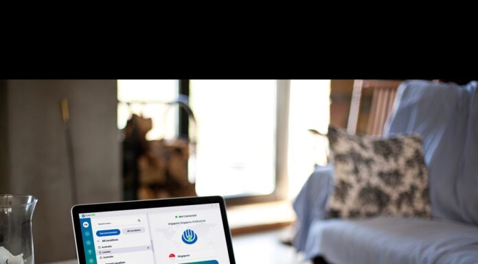 OysterVPN: Setting Sights on the Online Privacy Top Spot oysterVPN review